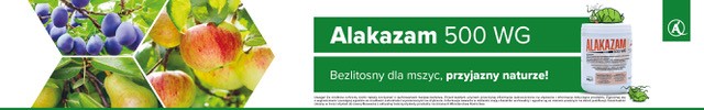 Baner 1